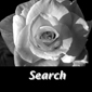 faces_search